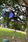 💥LAST DAY SALE 50% OFF💥Mystical Flying Dragon Ornament⚡BUY 2 FREE SHIPPING