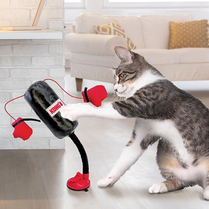 Punching Bag with Boxing Gloves Filled with Catnip, 🔥BUY 2 FREE SHIPPING