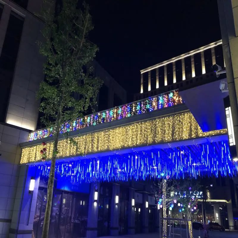 🔥Last Day Promotion 70% OFF🔥Aurora Christmas LED lights⚡️Buy 4 Free Shipping