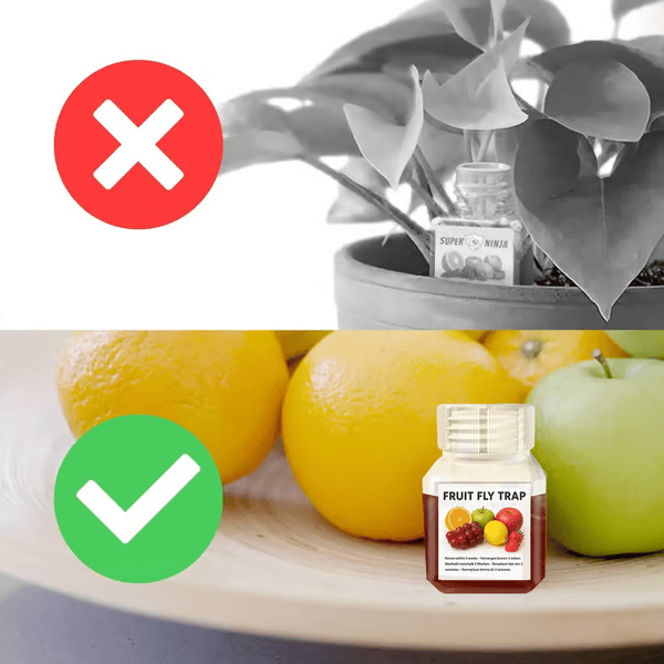 ⏰LAST DAY SALE 50% OFF🔥Ultra-Strong Fruit Fly Trap - User Friendly (Up to 3 Weeks per Bottle)⚡BUY 2 GET 1 FREE