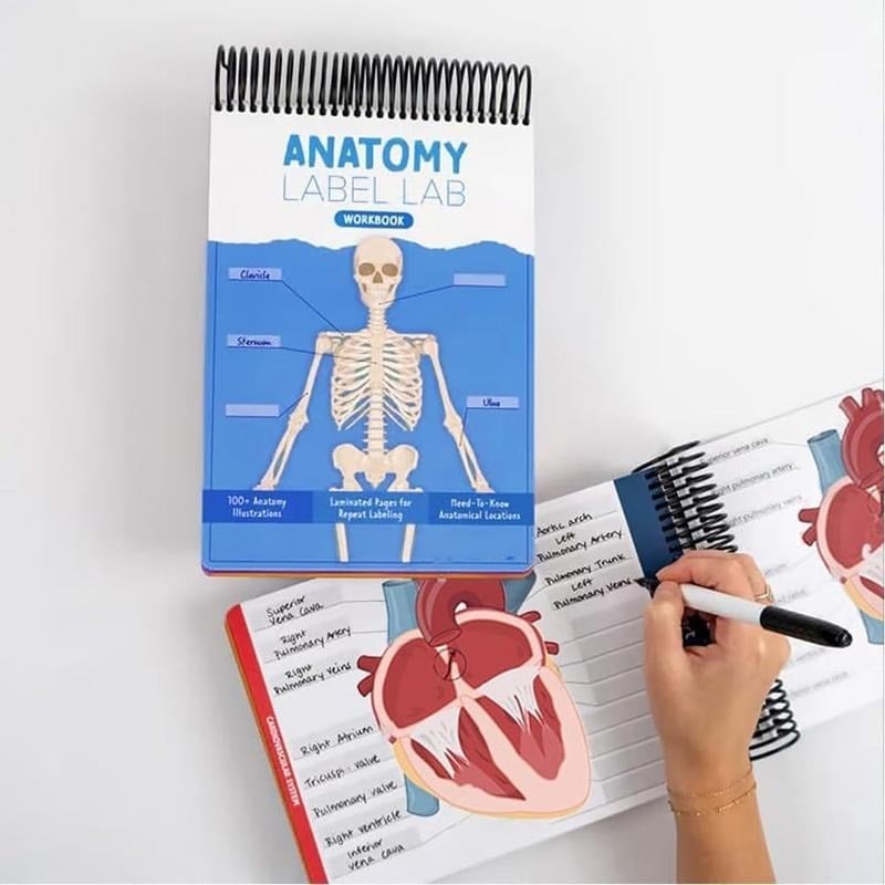 🔥Last Day 50% OFF - Anatomy Label Workbook 📘