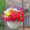 🌸 Spring Summer Home Decoration - 🌿 Fake Silk Colorful Morning Glory