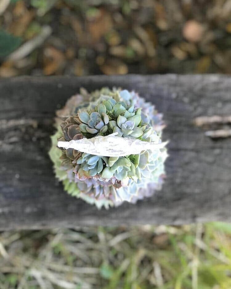 (🎁EARLY CHRISTMAS SALE - 50% OFF) 🎄Handcrafted Succulent Art Tree, Buy 2 Free Shipping Only Today