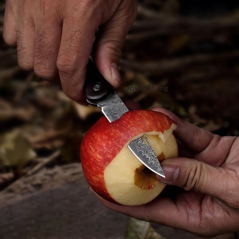 Exquisite Handcrafted Stainless Steel Pocket Knife with Wooden Handle and Damascus Blade
