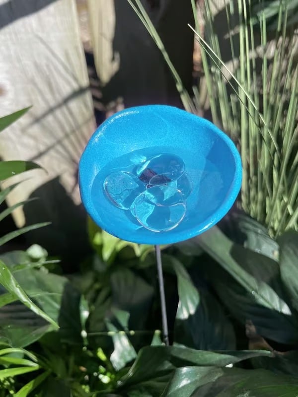 🎖️July 4th Flash Sale: 50% OFF Sitewide! 🐝Bee Watering Station,🦋Butterfly Puddler,Hummingbird Drinking Cups