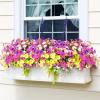 🌸 Spring Summer Home Decoration - 🌿 Fake Silk Colorful Morning Glory