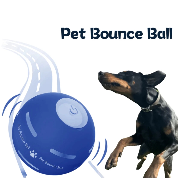 2025 New release-50% off-Pet BounceBal🐶