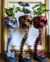 Skull Planter & Spine Stand Sets