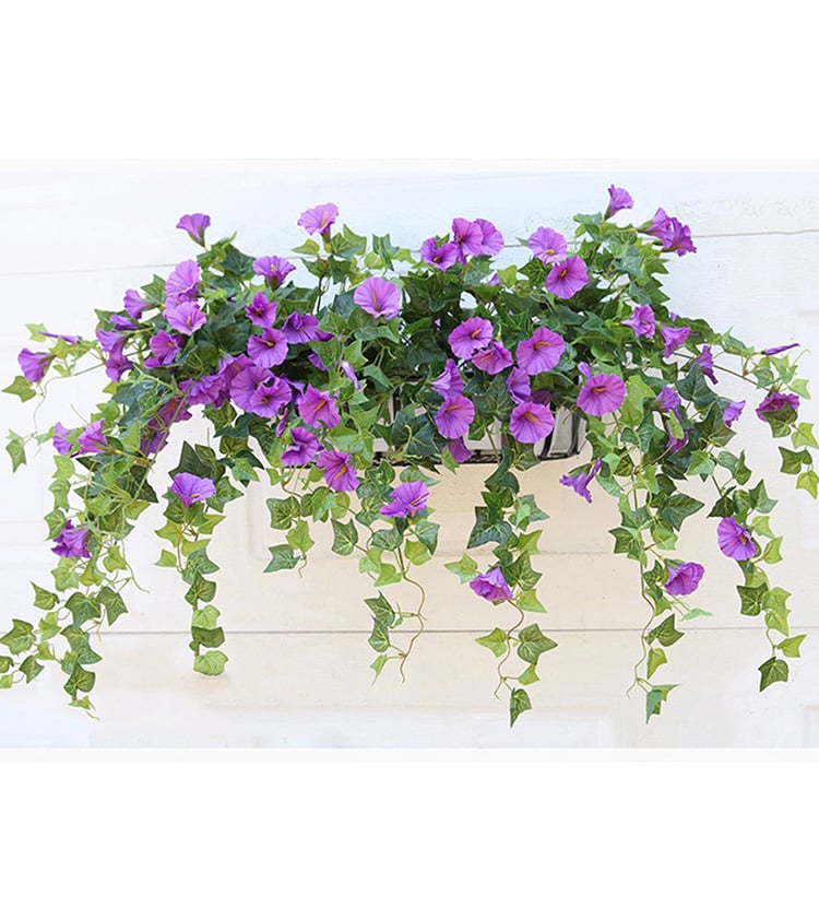 💖Last Day 49% OFF - UV Simulation Artificial morning glory