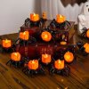 🔥👻2024 Halloween Spider LED Night Light✨