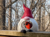 Gnome Bird Feeder -Handcrafted gift for garden & home