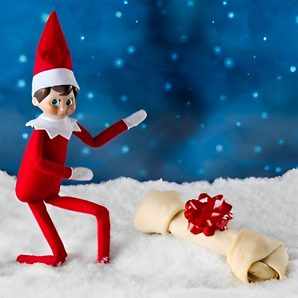 🎄Elf Kit 24/12 Days of Christmas