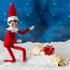 🎄Elf Kit 24/12 Days of Christmas