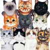 🌲Early Christmas Sale 50% Off🌲Cute Cat Hand Towel, Buy 2 Free Shipping!