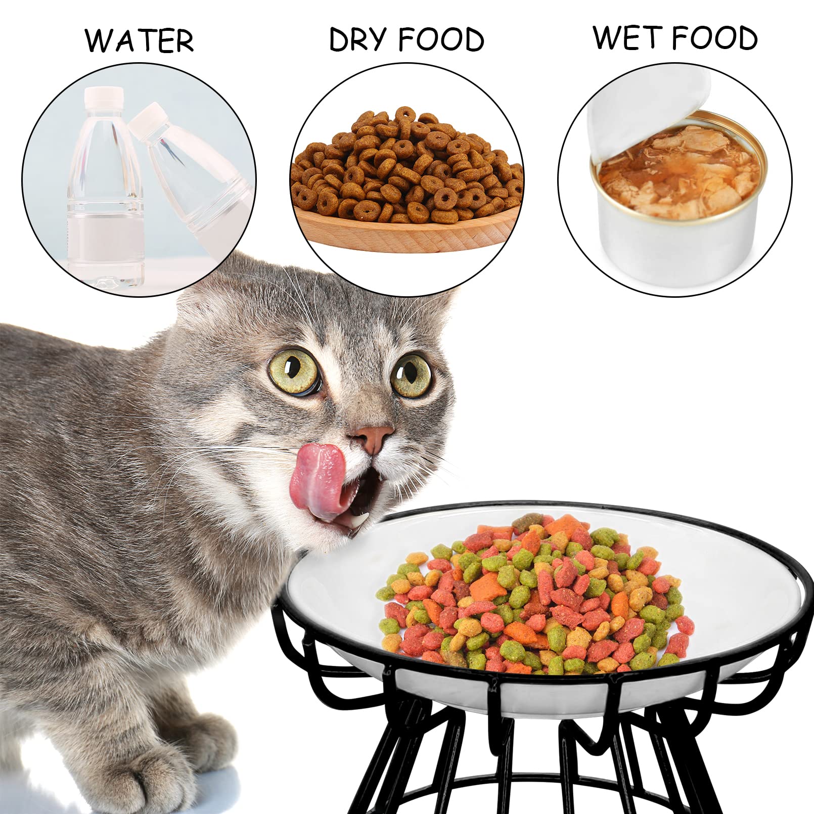 💲Mother's Day hot sale💲Whisker-Friendly Anti-Vomit Cat Plate 🥣BUY 2 GET EXTRA 5% OFF&FREE SHIPPING