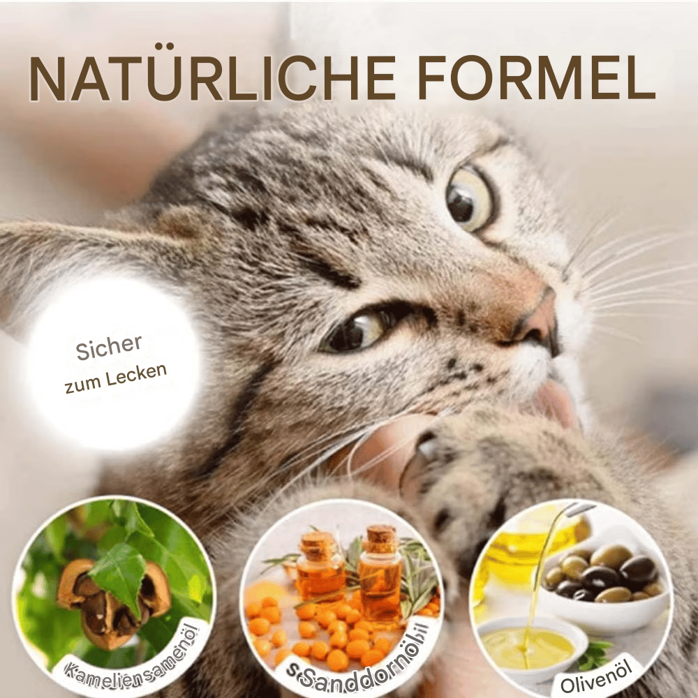 🔥Letzter Tag Verkauf 49% Rabatt🔥Pfotenbalsamstift für Haustiere