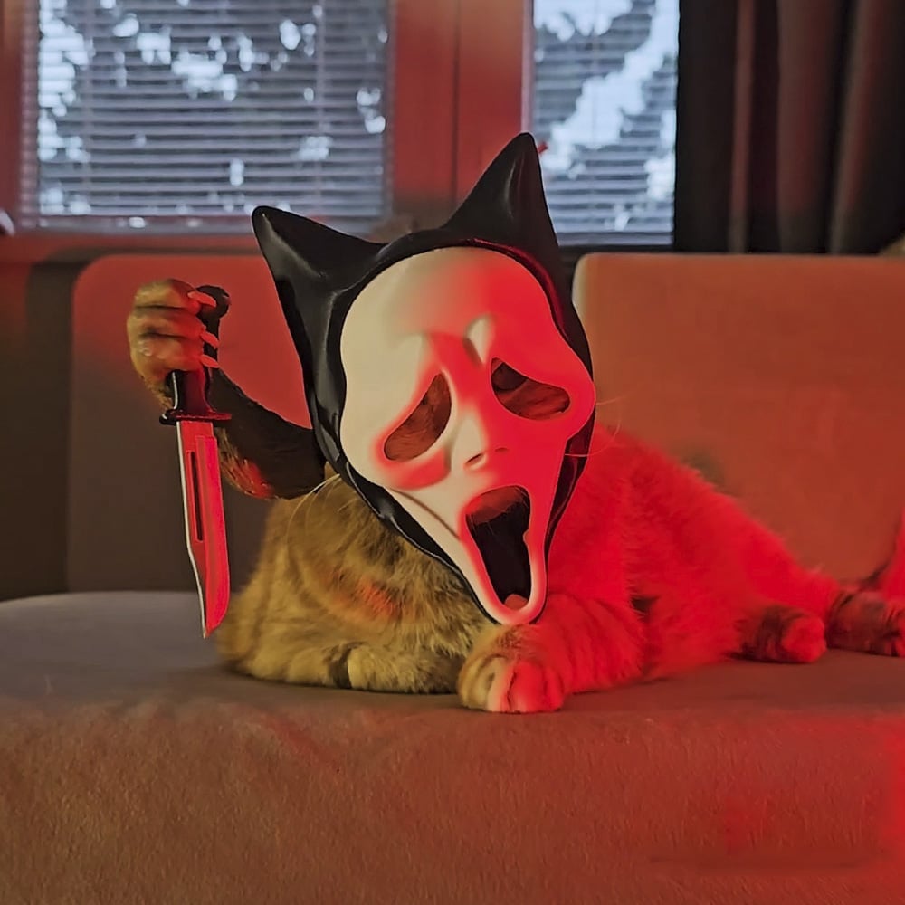 🎁TikTok Last Day Sale - 70% OFF🔥🎭Screaming Cat Mask - Modular 
