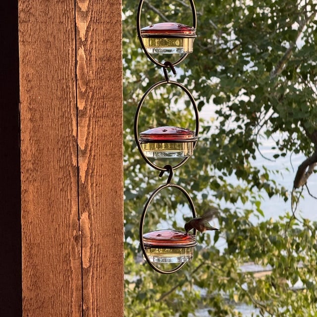 Hummble Slim Hummingbird Feeder