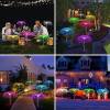 Solar-Powered LED Garden Fiber Optic Lights