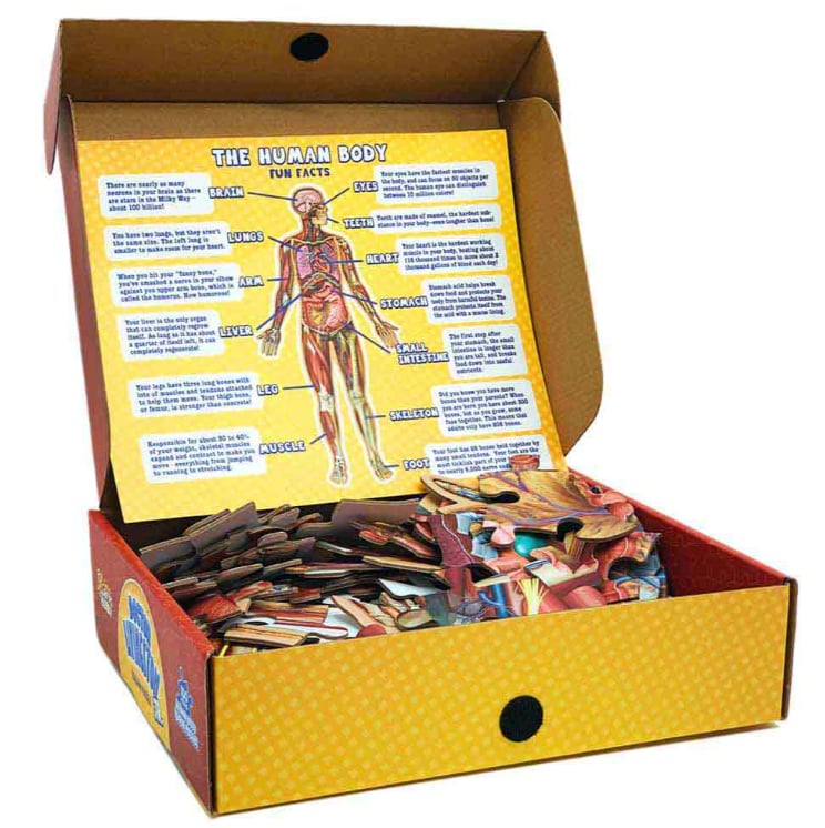 ⏰LAST DAY SALE 50% OFF🔥Kid's 100 Piece Human Body Floor Puzzle
