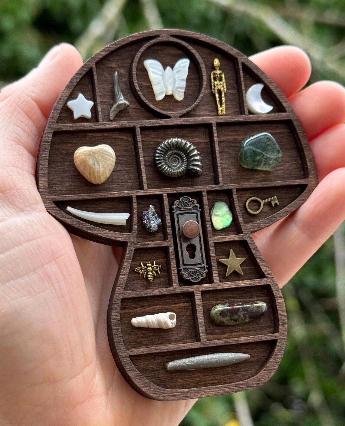 Mini Wooden Display Shelf for Collectibles
