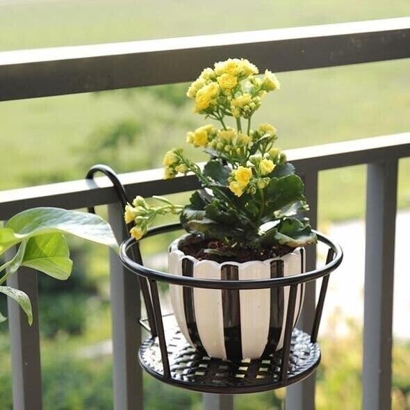 ⚡Clearance Sale 70% OFF丨🌼Hanging Flower Stand (BUY MORE SAVE MORE)