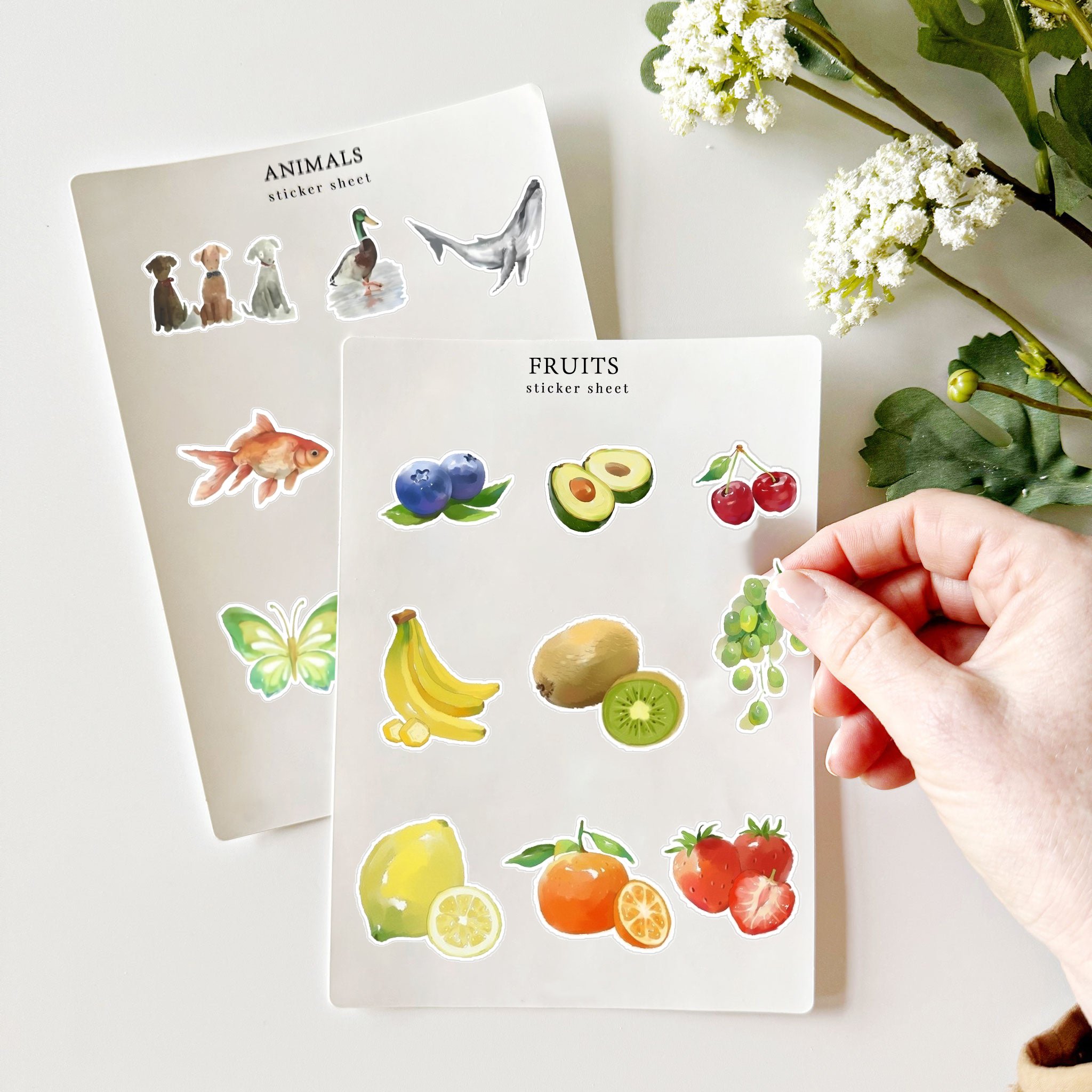 𝙊𝙏𝙀𝙃® Fruits sticker sheets