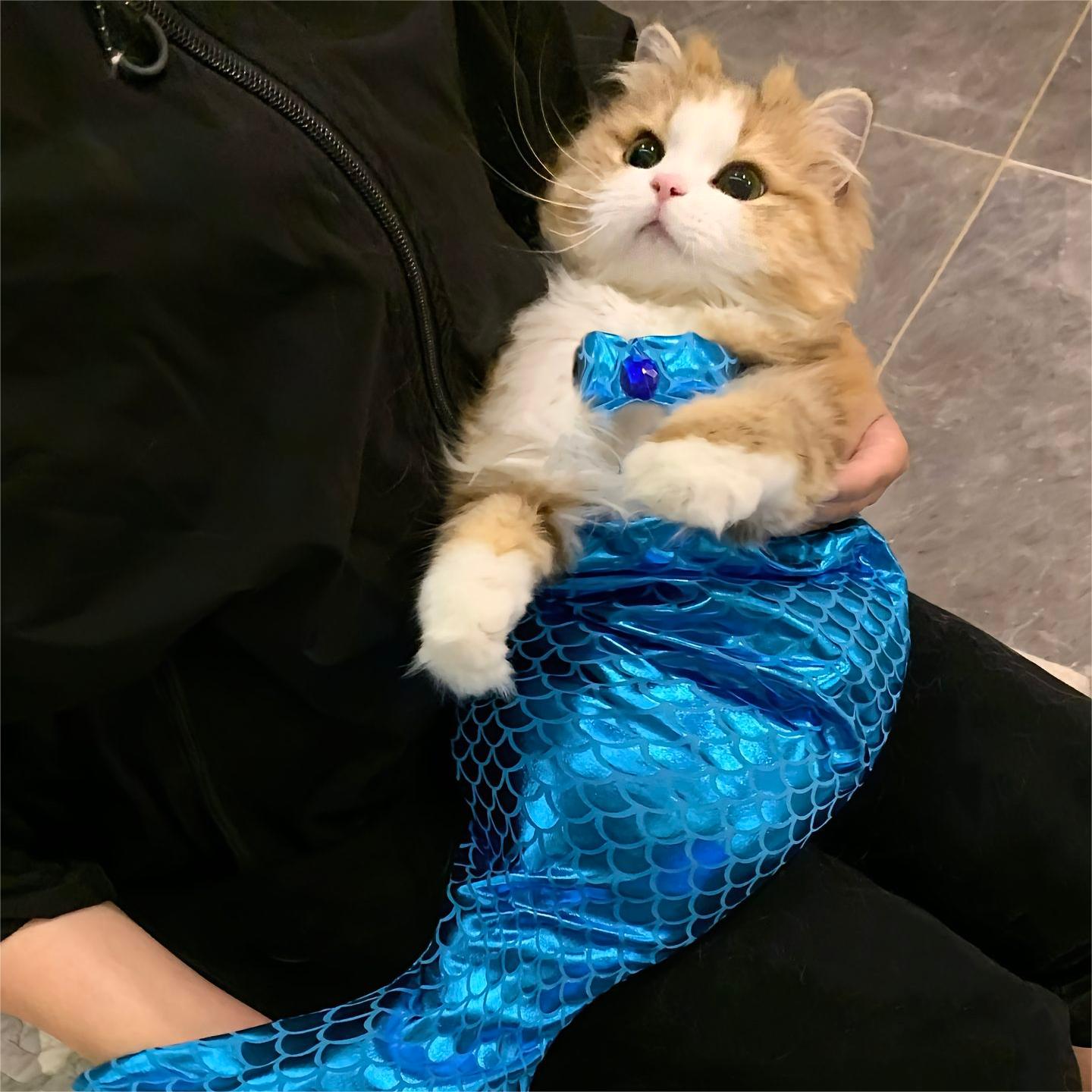 😺Hot Sale 50% OFF-🧜‍♀️Mermaid Bikini Pet Set，BUY 2 GET 1 FREE