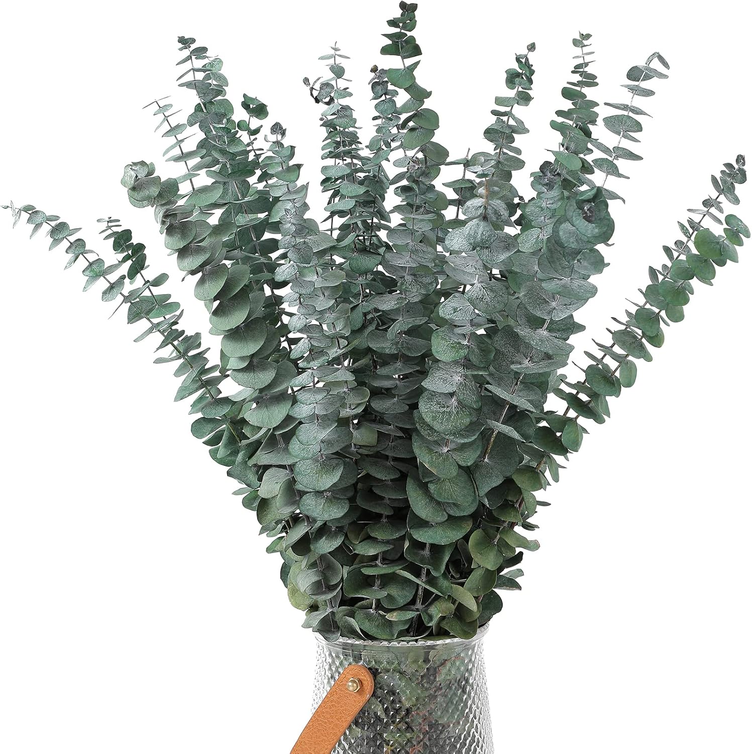 10 Pcs Dried Eucalyptus Stems 17