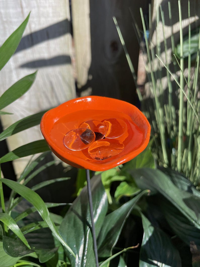 🎖️July 4th Flash Sale: 50% OFF Sitewide! 💕Bee Watering Station,Butterfly Puddler,Insect Drinking Cups