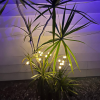 (🔥Christmas Sale- SAVE 49% OFF) 🧚Dancing Firefly Solar Garden Lights