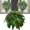 🔥Last Day 50% OFF- UV Resistant Lifelike Artificial Boston Fern