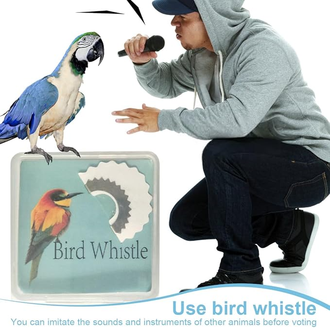 🔥Summer Hot Sale 49% OFF🎀-🐦 5-Piece Wacky Bird Whistle Set （BUY 2 FREE SHIPPING)