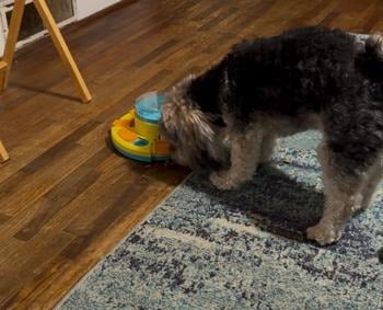 💥LAST DAY SALE 50% OFF💥Dog Food Treat Feeding Toys⚡BUY 2 FREE SHIPPING