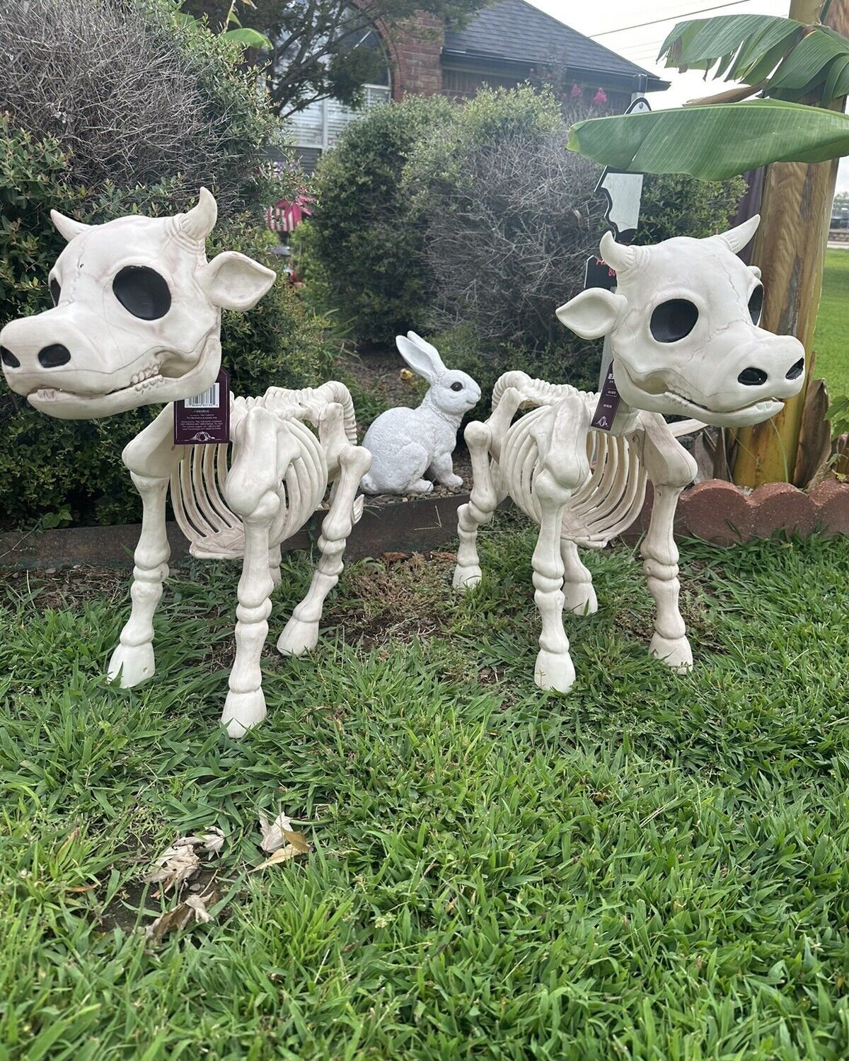 🐮💀Handmade Cow & Horse Skeleton Halloween Decorative Prop