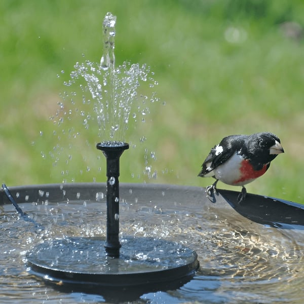 LAST DAY 60% OFF🔥Solar-Powered Bird Fountain Kit