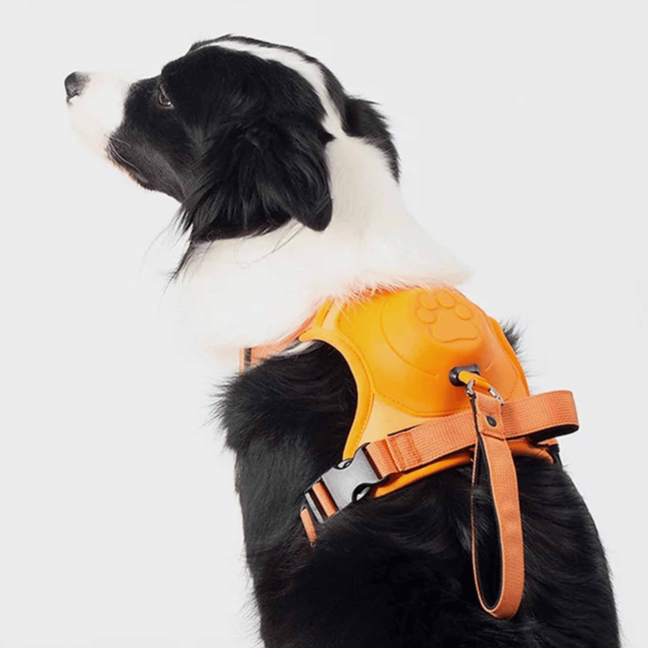 Poochbark™ 3 in 1 Dog Harness with Built-In Leash <strong>(Free Shipping)</strong>