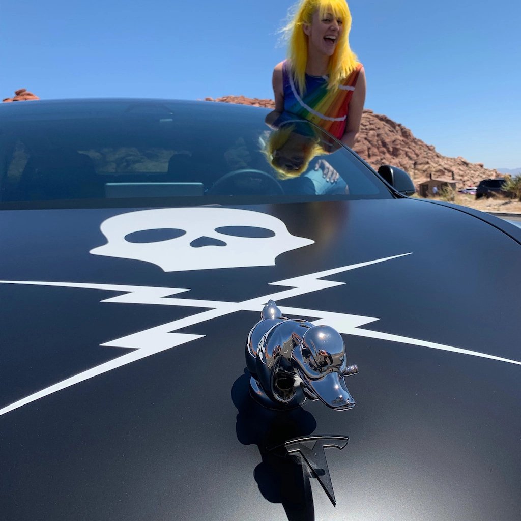 🎉LAST DAY -70%OFF - 🔥Angry  Duck Hood Ornament Death Proof⚡Buy 2 Get Free Shipping