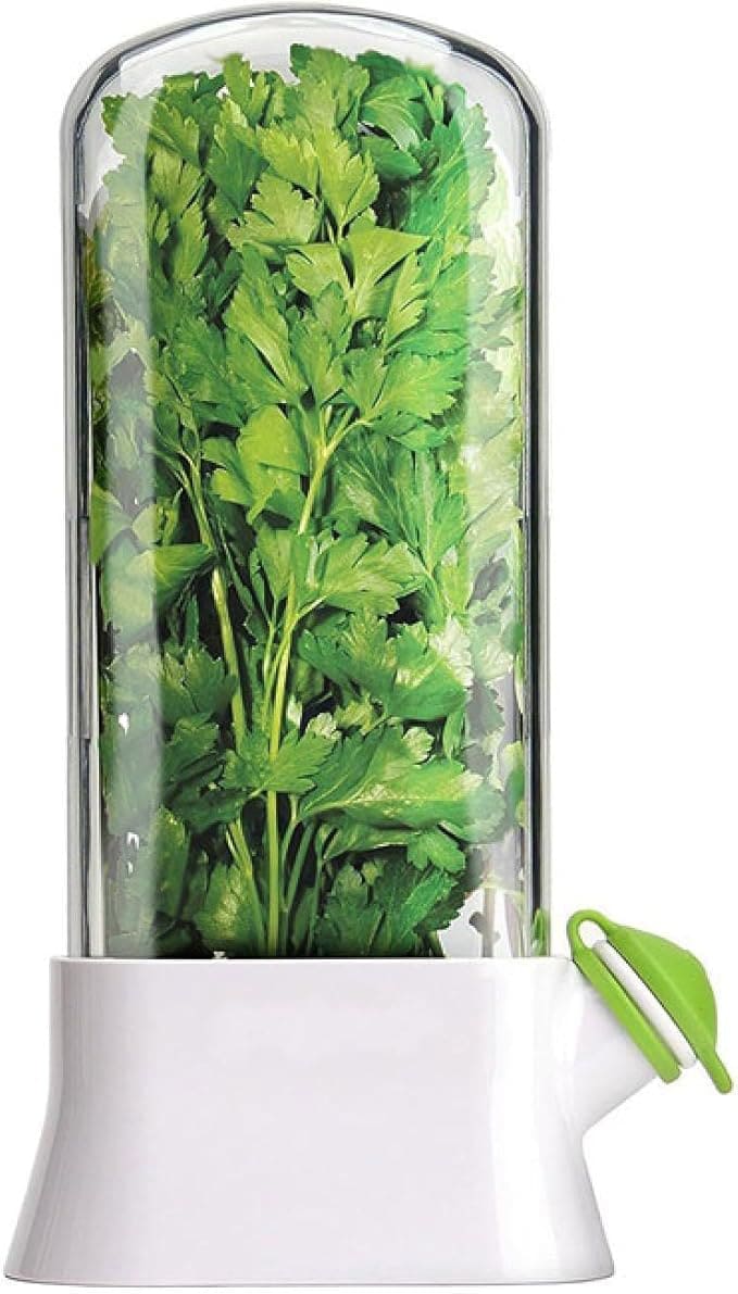 🔥Last Day Promotion 70% OFF🔥Cilantro Saver Container