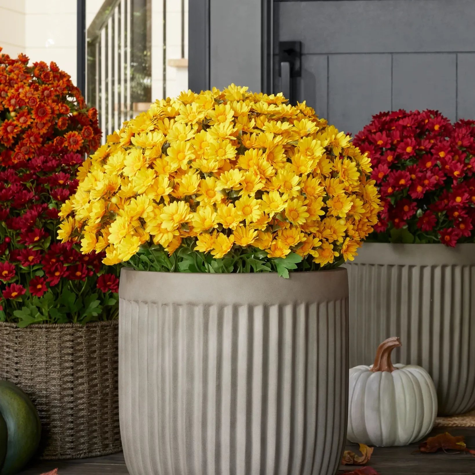 🔥Letzter Tag 49% Rabatt🌻Künstliche Chrysanthemen in Sonnenuntergangsfarben