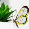 🔥 Limited Time Offer – 50% OFF! Stained Glass Butterfly Monarch Suncatcher pot decoration gift for women Light catcher Sun Room Decor Village style Add a different style to potted plants and gardens