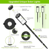 🔥Last Day Promotion 50% OFF💥Solar Pathway Lights