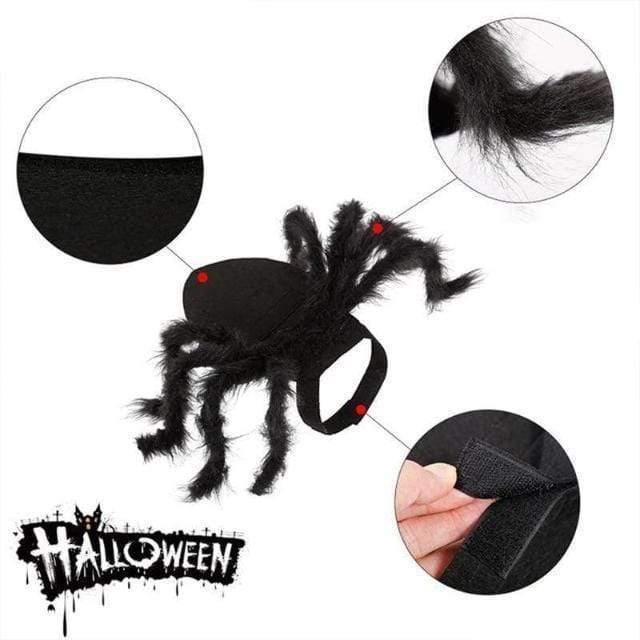 (🎃Halloween Promotion-50% OFF) Halloween Pet Spider Pup Dog Costume