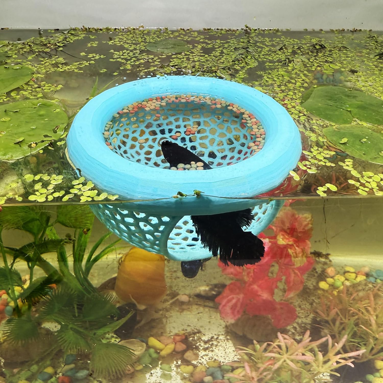 🔥Last Day: 50% OFF🐟Floating Betta Fish Skins