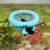 🔥Last Day: 50% OFF🐟Floating Betta Fish Skins
