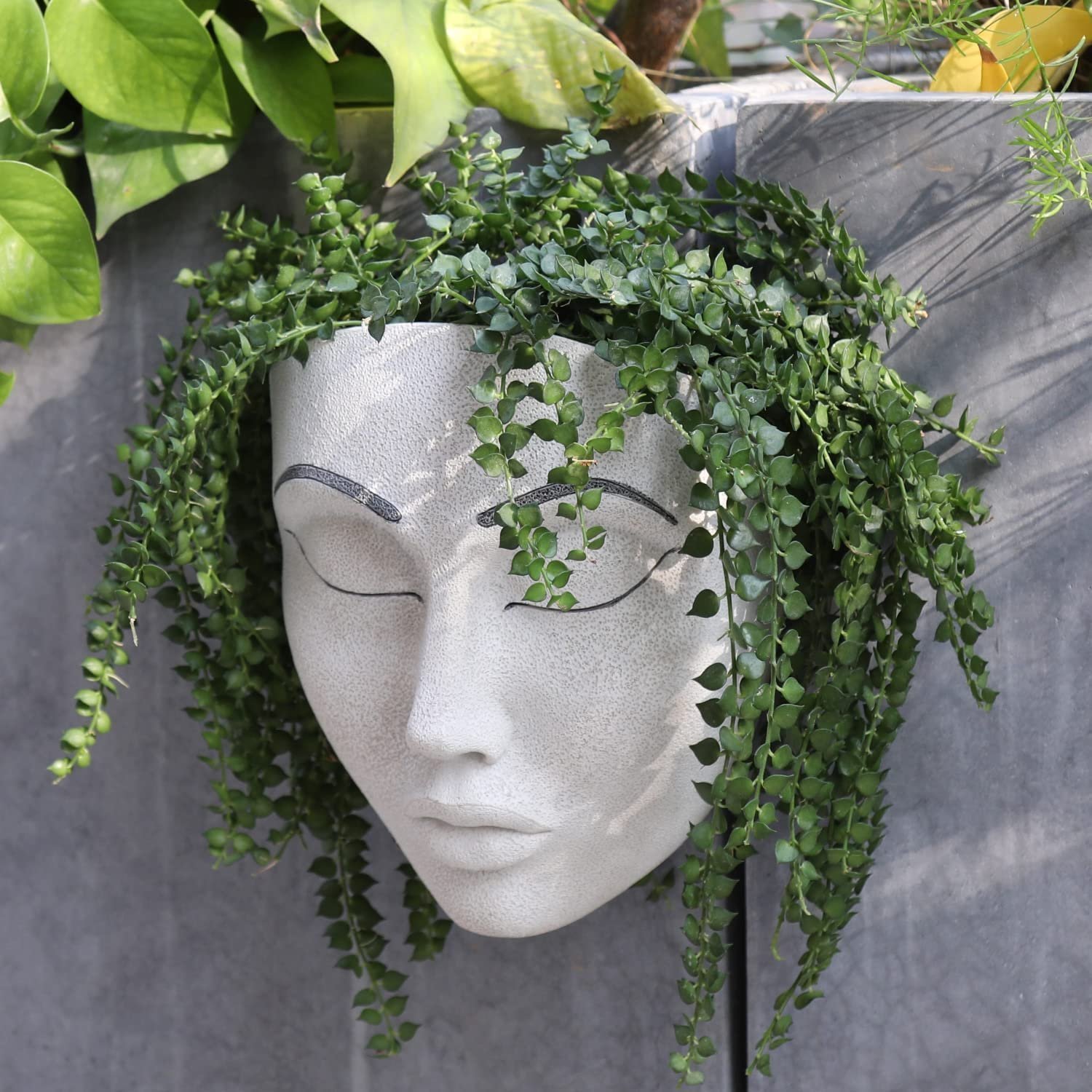 (🔥HOT SALE NOW 49% OFF) - Plant Faces