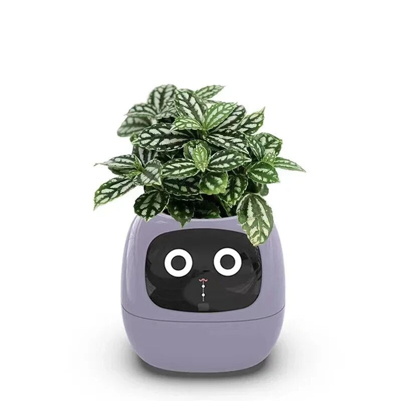 ✨Smart Planter | Smart Flower Pot | Emotion Sensing Technology | Crafted With Modern Aesthetics In Mind🥰