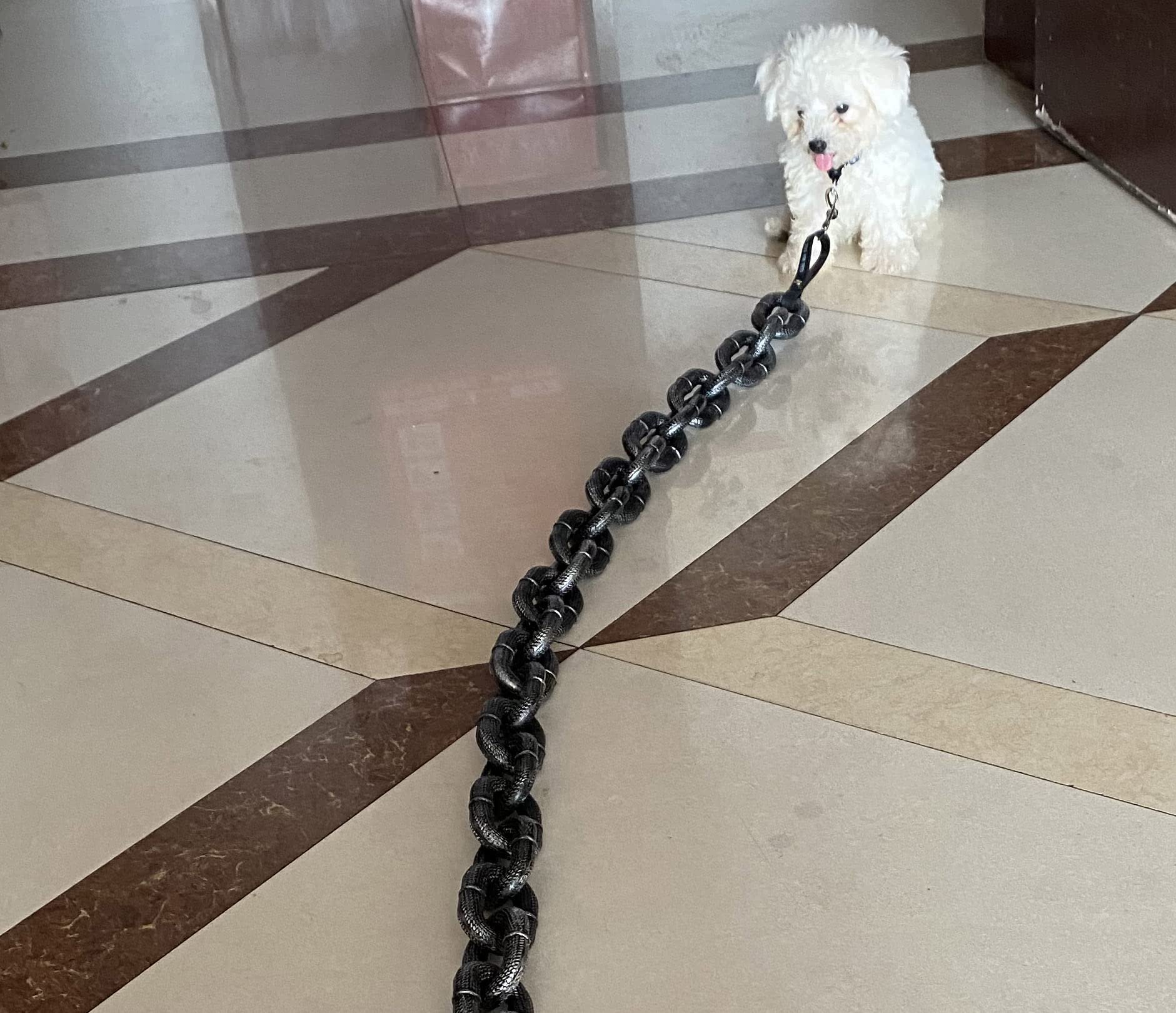 The Chain Paws