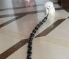 The Chain Paws