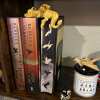 🔥🔥2025 Mother's Day Gift 49% Off--📚3D Printing Sleeping Bookshelf Dragon